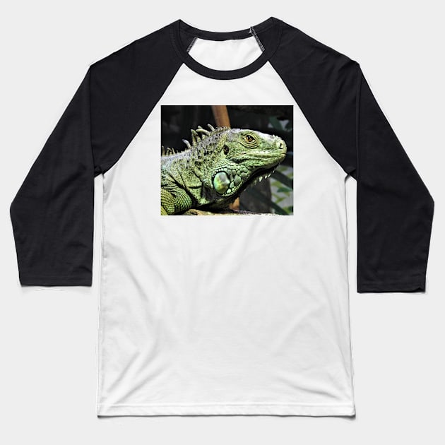 Green Iguana Baseball T-Shirt by kirstybush